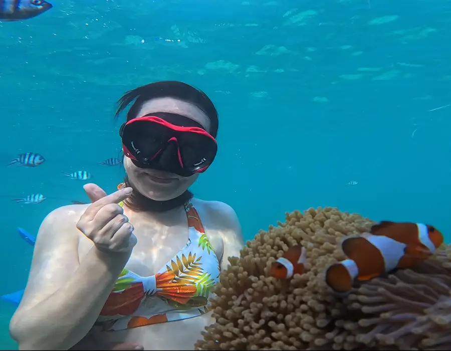 The Ultimate 2026 Guide to Getting to Bintan from Singapore