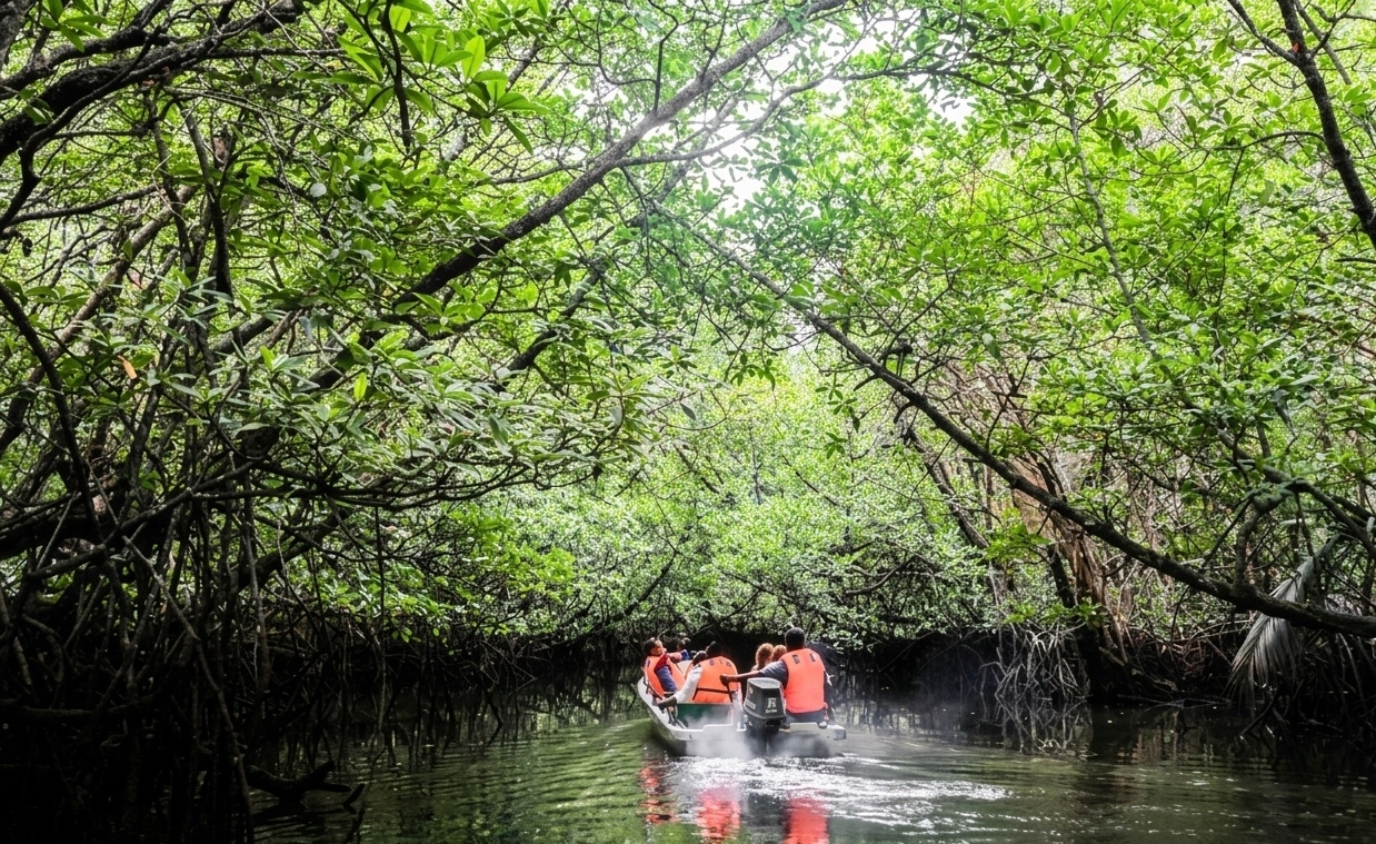 A dramatic view of the Bintan Mangrove river area in the late evening, showing the water reflections, a clear pathway, the dense foliage, and distant resort lights under a beautiful cloudy sky, setting the scene for a night tour.