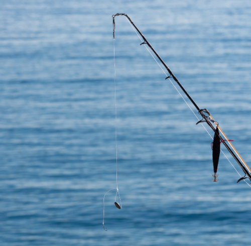 Fishing and marine activity in the waters around Bintan