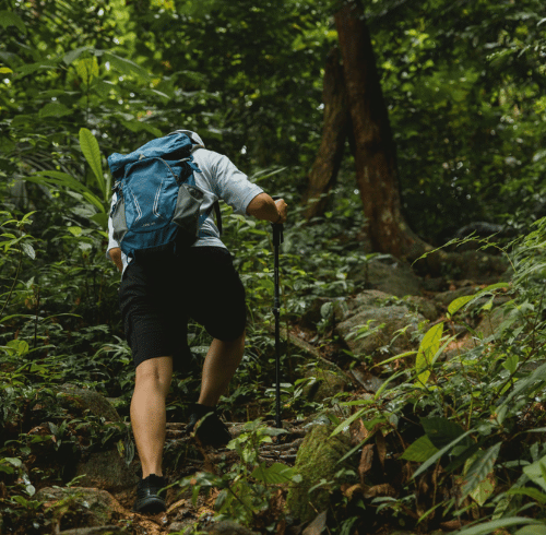 Nature and adventure destinations in Bintan