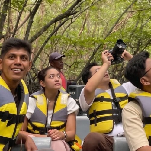 Bintan Half Day Tour Package A Mangrove Tour