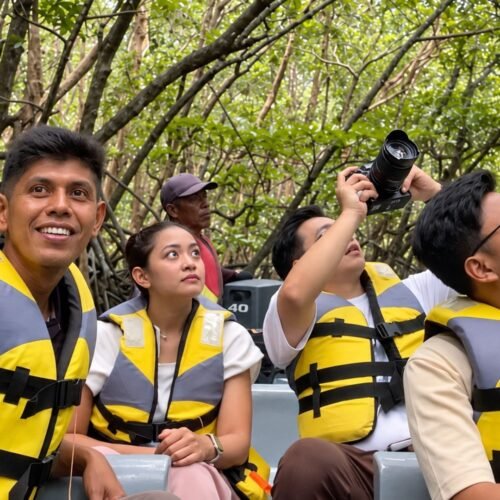 Bintan Half Day Tour Package C with Mangrove Tour and Safari Lagoi
