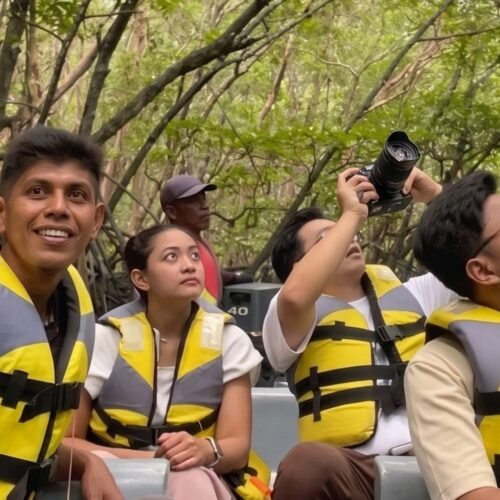 Bintan Half Day Tour Package C with Mangrove Tour and Safari Lagoi