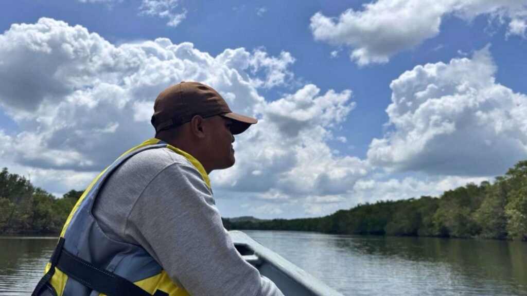 Bintan Mangrove Tour half day experience