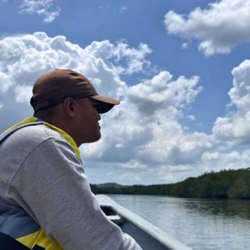 Bintan Mangrove Tour half day experience
