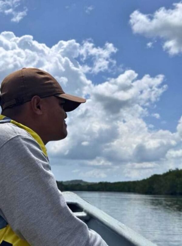 Bintan Mangrove Tour half day experience