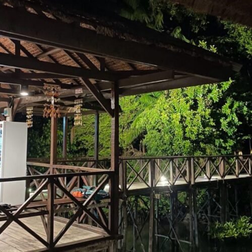 Night mangrove experience during Bintan Fireflies Tour