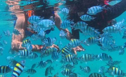 Bintan Full Day Tour Package B snorkeling at Trikora Beach