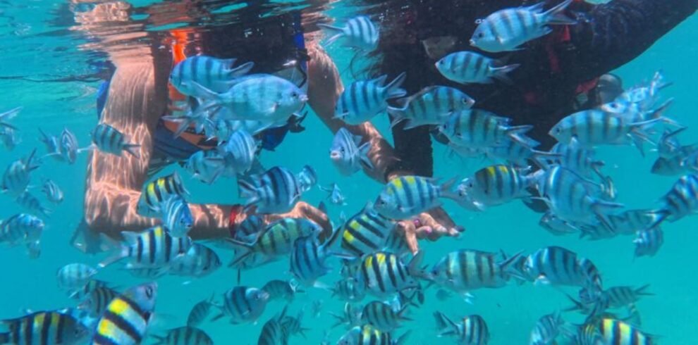 Bintan Full Day Tour Package B snorkeling at Trikora Beach
