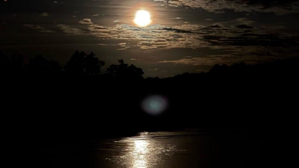 Travelers enjoying a Bintan Fireflies Tour at night