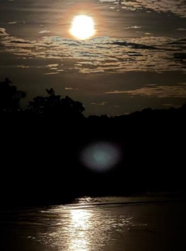 Travelers enjoying a Bintan Fireflies Tour at night