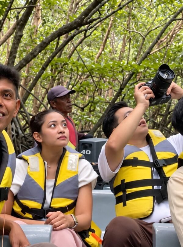 Bintan Mangrove Tour through a tropical mangrove environment