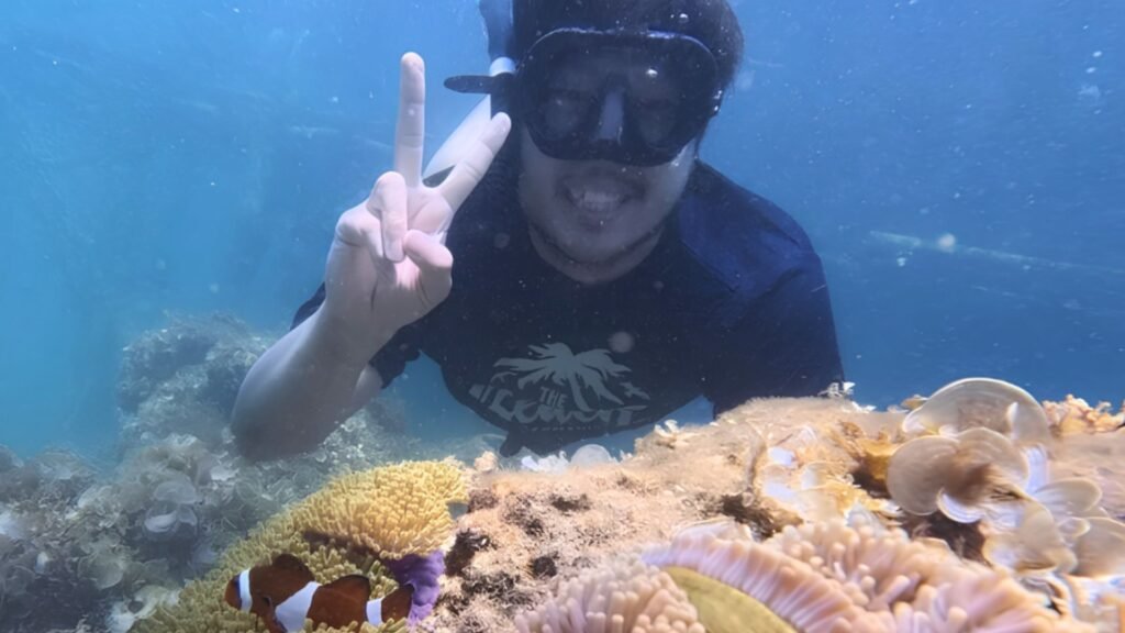 Traveler enjoying a snorkeling activity in tropical waters