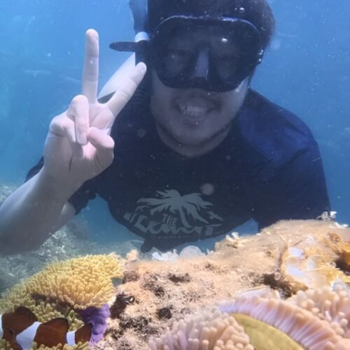 Traveler enjoying a snorkeling activity in tropical waters