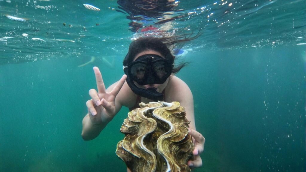 Bintan Snorkeling Tour in the tropical waters of Bintan Island