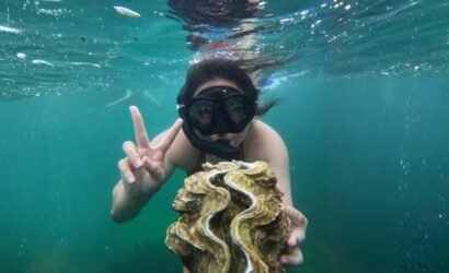 Bintan Snorkeling Tour in the tropical waters of Bintan Island
