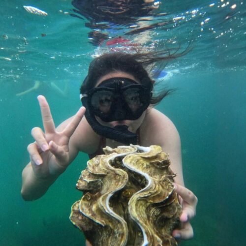 Bintan Snorkeling Tour in the tropical waters of Bintan Island