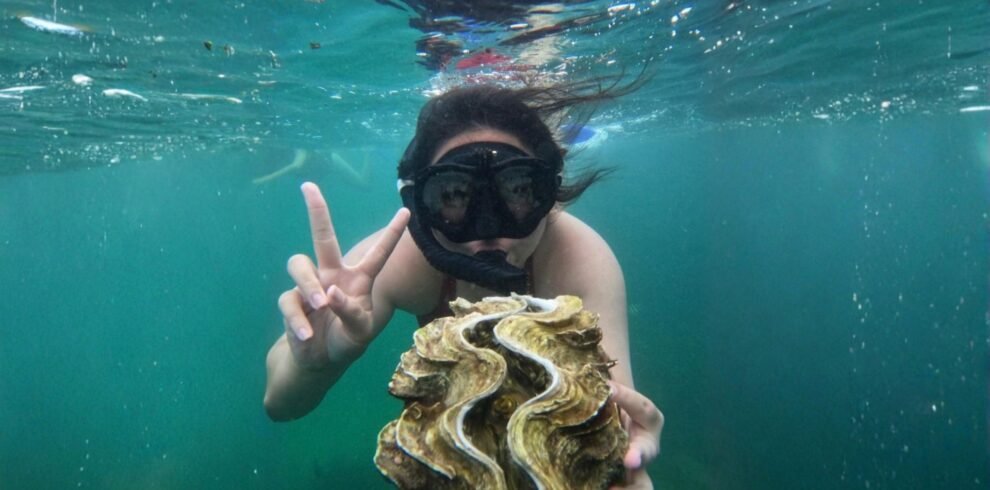 Bintan Snorkeling Tour in the tropical waters of Bintan Island