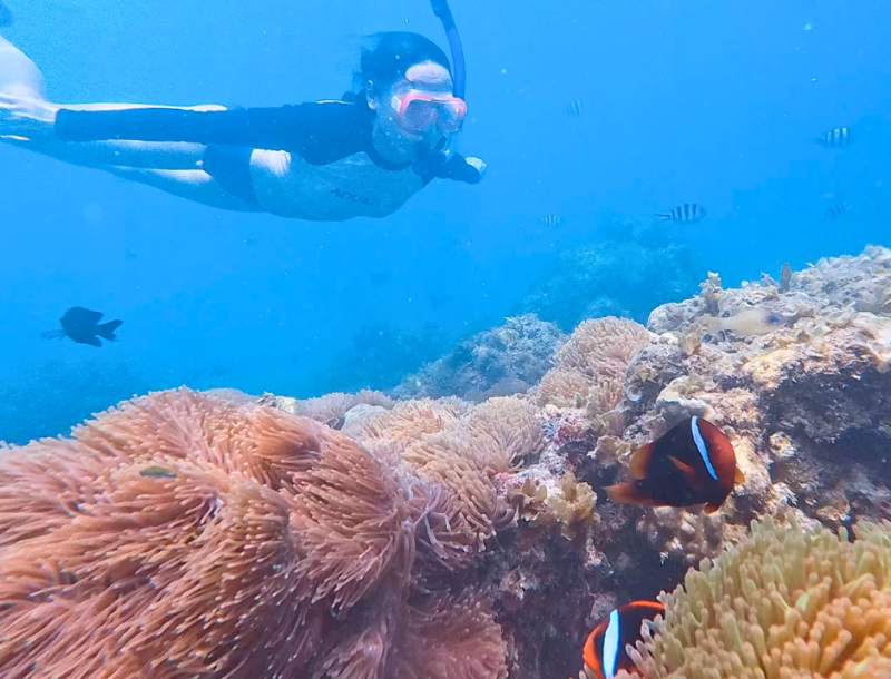 Snorkeling Nemo Snorkeling Nemo