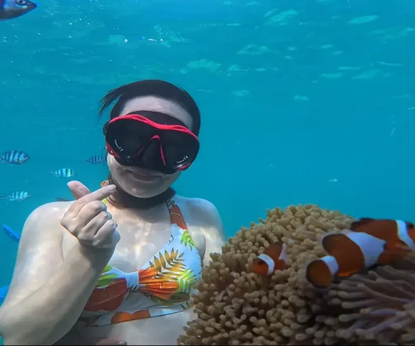 The Ultimate 2026 Guide to Getting to Bintan from Singapore