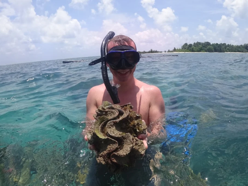 Snorkeling Snorkeling